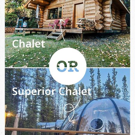 Rocky Mountain Escape Dome & Log Cabin Rentals - Rock Lake Rock Lake Lodge Provincial Park Eksteriør billede