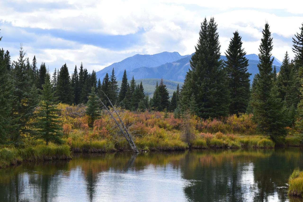 Rocky Mountain Escape Dome & Log Cabin Rentals - Rock Lake Rock Lake Lodge Provincial Park Eksteriør billede
