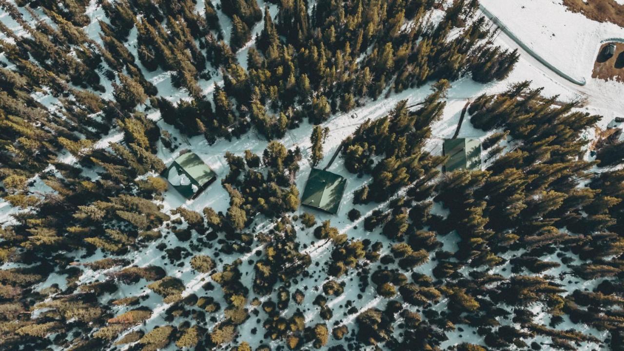 Rocky Mountain Escape Dome & Log Cabin Rentals - Rock Lake Rock Lake Lodge Provincial Park Eksteriør billede