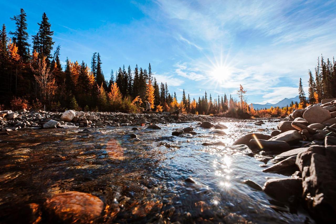 Rocky Mountain Escape Dome & Log Cabin Rentals - Rock Lake Rock Lake Lodge Provincial Park Eksteriør billede