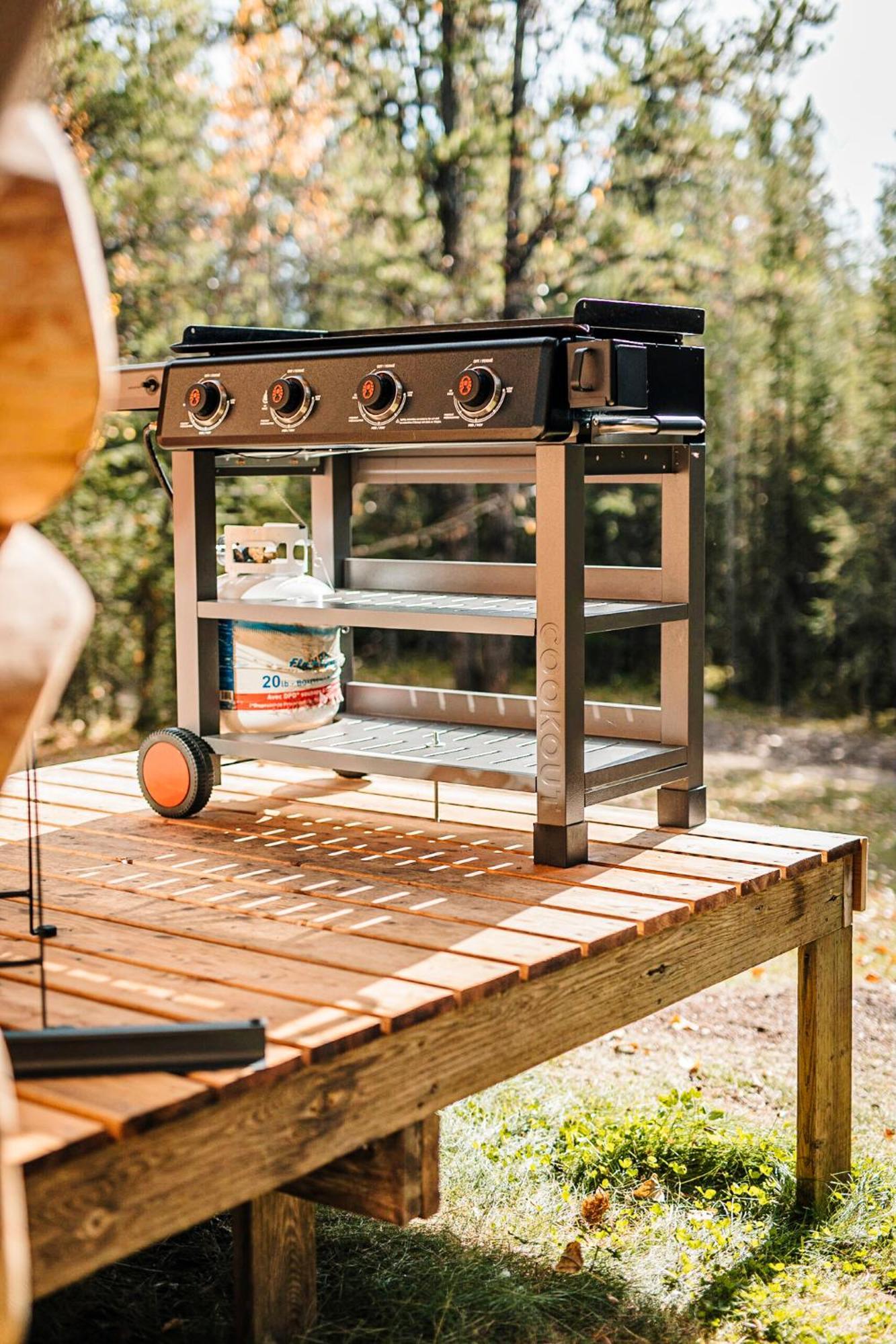 Rocky Mountain Escape Dome & Log Cabin Rentals - Rock Lake Rock Lake Lodge Provincial Park Eksteriør billede