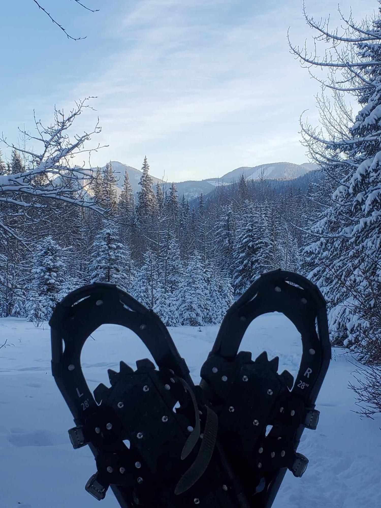Rocky Mountain Escape Dome & Log Cabin Rentals - Rock Lake Rock Lake Lodge Provincial Park Eksteriør billede